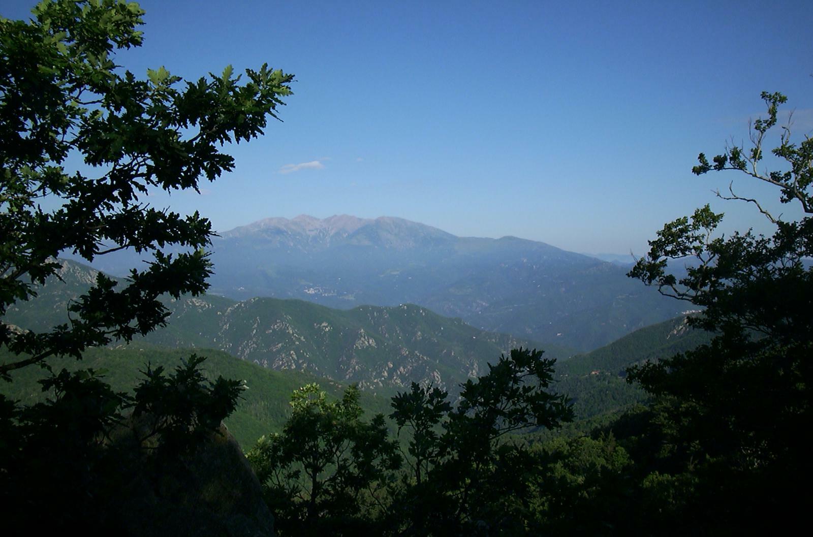 Blick auf den Canigou