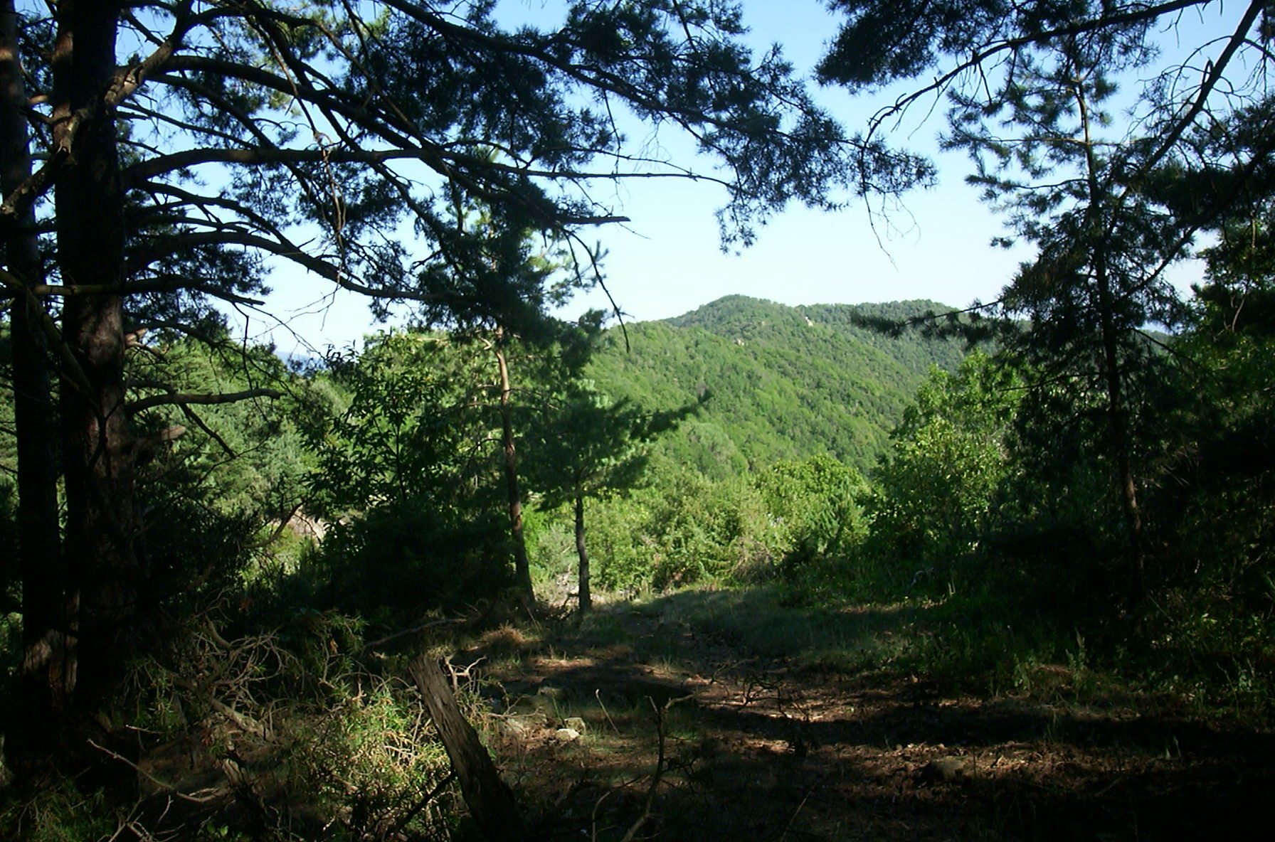 HRP ber Amelie-les-Bains-Palalda