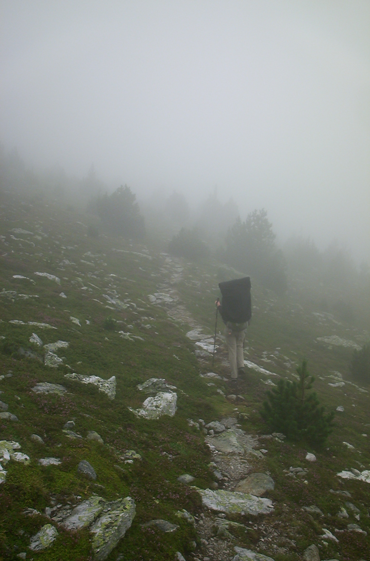 Wandern durch den Nebel