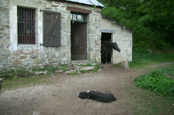 Maison Forestiere de l'Estanyol mit Bewohnern