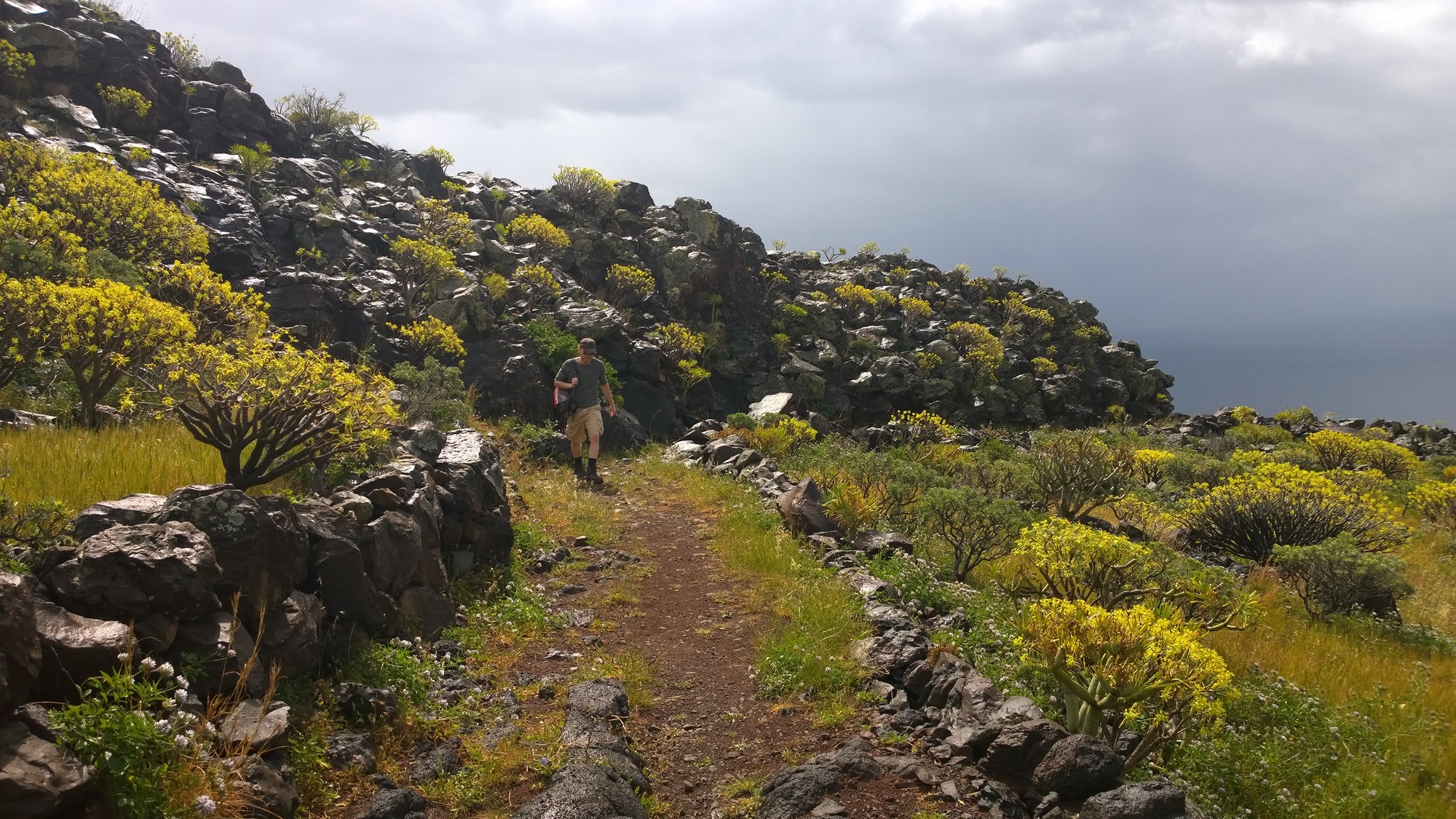 La Gomera Sdkste