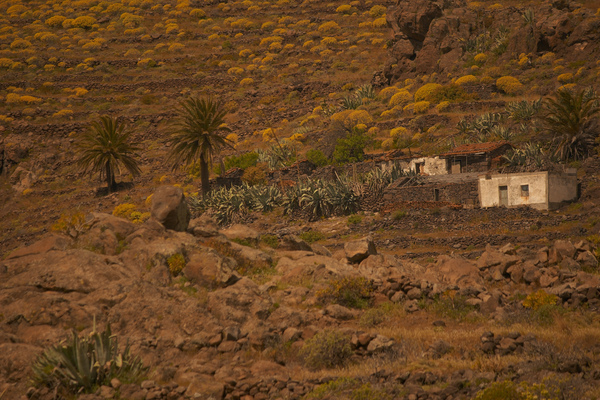 La Gomera - Morales