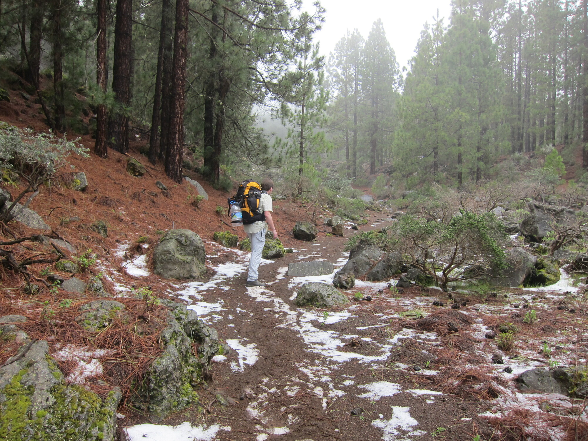 Wanderweg nach El Portillo