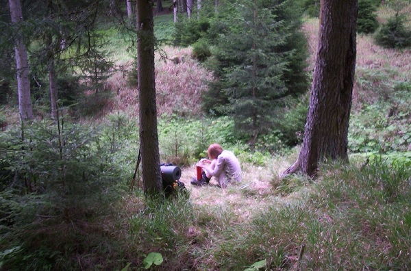 Campingplatz im Wald