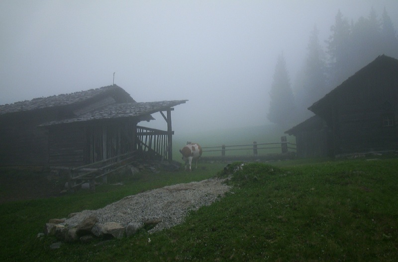 Die Hirschleitenalm im Morgennebel