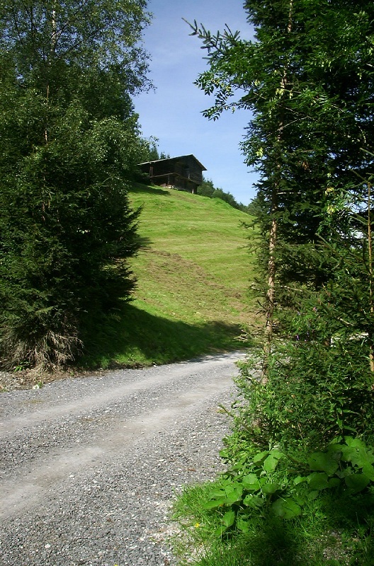 Bauernhof am Vgelsberg